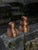Beech and Cumaru Candlestick 5 by Romain Des Bois For Sale - Image 9 of 10