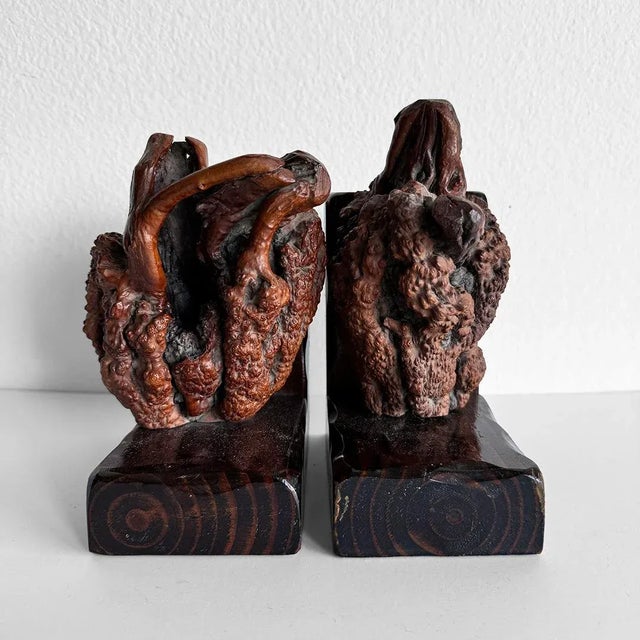 Brown Vintage Burlwood Bookends - a Pair For Sale - Image 8 of 9