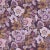 Contemporary Boogie Oogie Oogie Plum Wallpaper For Sale - Image 3 of 3
