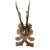 Roe Deer Trophy 132 Black Forest Antlers For Sale