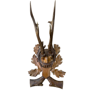 Roe Deer Trophy 132 Black Forest Antlers