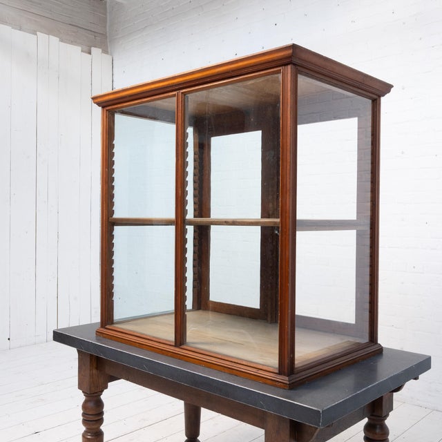 Tan Antique Shop Window Display, 1920 For Sale - Image 8 of 12