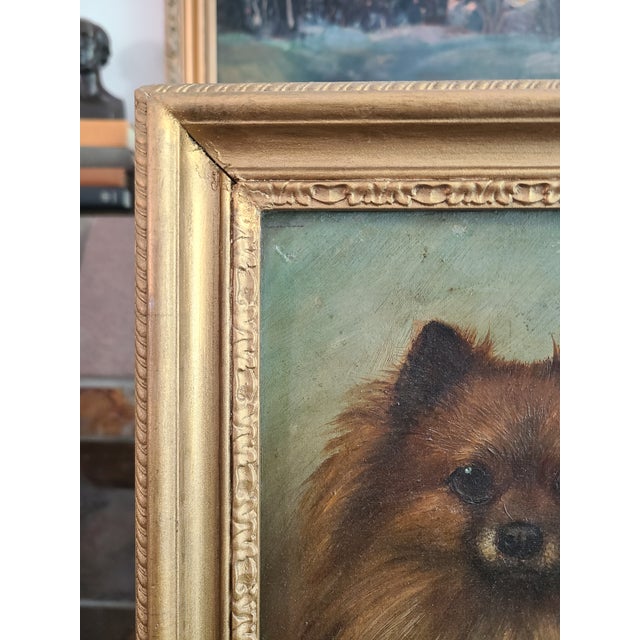 Textile Small Antique 19th Century Oil Painting Portrait of a Pomeranian Dog For Sale - Image 7 of 14