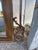 Large Vintage Mediterranean Beveled Wood & Gilt Metal Scrollwork Mirror For Sale - Image 4 of 17