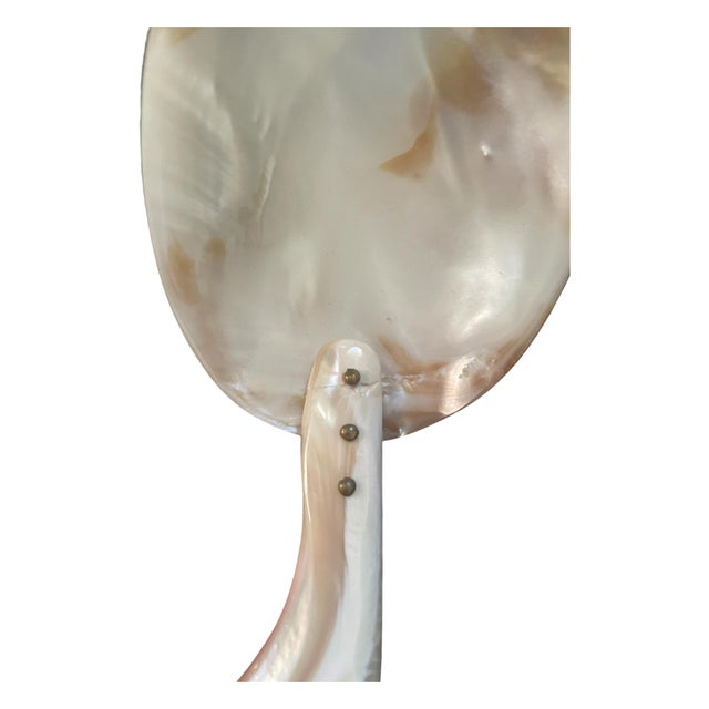 20th Century Organic Sculptural Mother-of-Pearl Shell Caviar Serving Spoon For Sale - Image 9 of 9