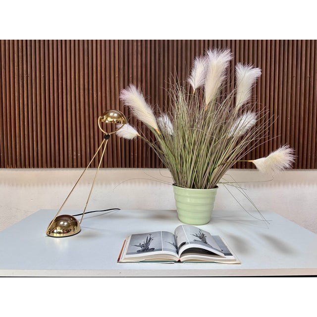 Meridiana Table Lamp by Paolo Piva for Stefano Cevoli, Italy, 1980s For Sale - Image 15 of 16
