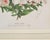 Set of Nine Botanical Lithograph Prints After Louis Van Houtte For Sale - Image 10 of 18
