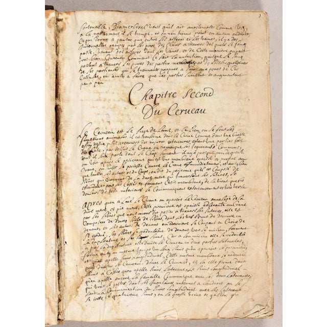 18th Century Hand Written French Manuscript on Human Anatomy and ...