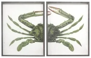 Green Split Crab in Pewter Frame - Total 48x30