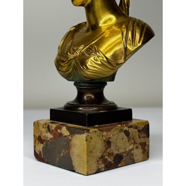 Late 19th Century Bronze Small Portrait Bust of Diana De Poitiers, After Jean-Antoine Houdon For Sale - Image 11 of 18