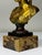 Late 19th Century Bronze Small Portrait Bust of Diana De Poitiers, After Jean-Antoine Houdon For Sale - Image 11 of 18