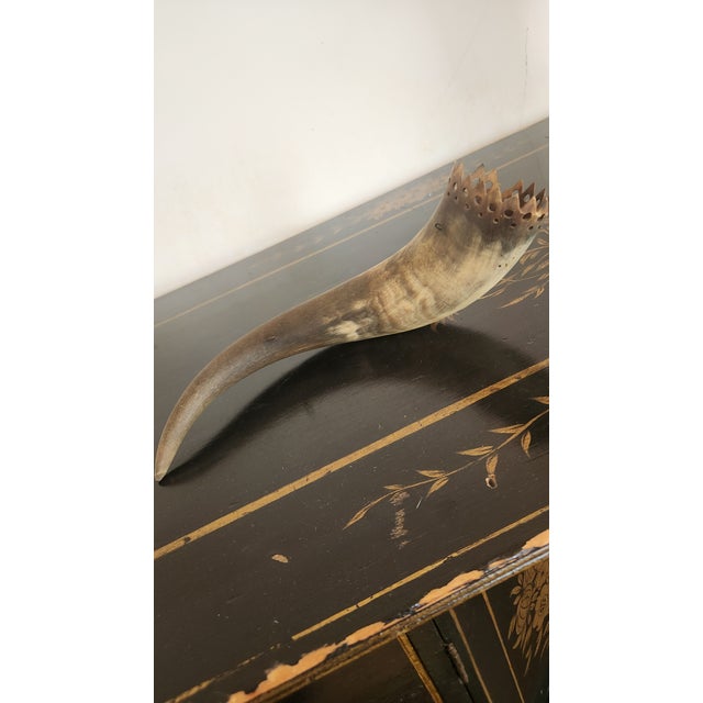 Bone Vintage Natural Cow Horn Wall Pocket / Flower Holder With Pierced Crown Rim, Western Ranch Decor For Sale - Image 7 of 12