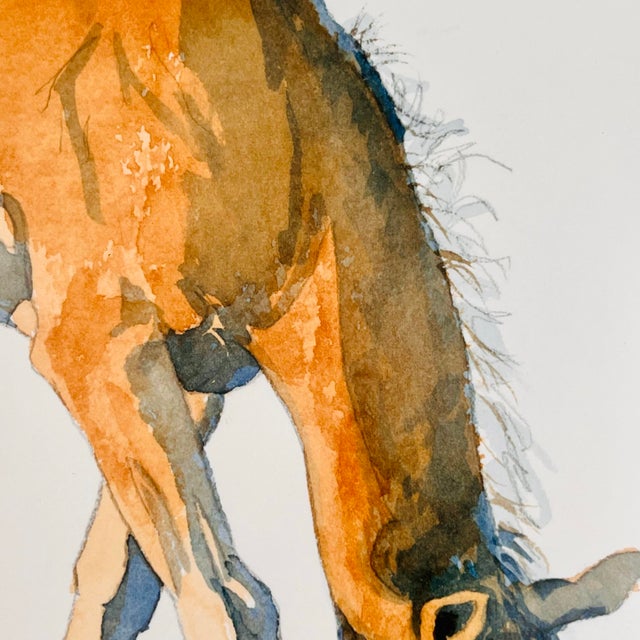 Original Signed Equestrian Watercolor Painting - Grazing Chestnut Horse Portrait, Framed and Matted For Sale In New York - Image 6 of 11
