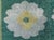 Art Deco Art Deco Design Green Handmade Wool Rug Doris Leslie Blau For Sale - Image 3 of 9