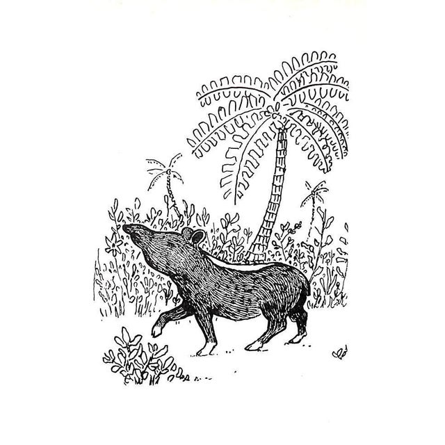 "How to Have a Life-Style" 1978 Crisp, Quentin For Sale - Image 11 of 13