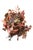 Christina Rodriquez MIxed Media Paint and Resin Wall Sculpture 2006 For Sale - Image 11 of 12