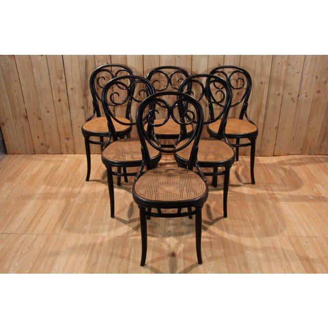 Vintage Chairs by Michael Thonet for Gebrüder Thonet, 1880, Set of 6 For Sale - Image 3 of 13