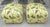Vintage Newly Upholstered Ottomans in Thibaut “Lillian” Fabric – Palm Beach Style, Pair For Sale - Image 12 of 12