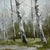 Birch Tree Impressionistic Landscape Original Oil Painting For Sale
