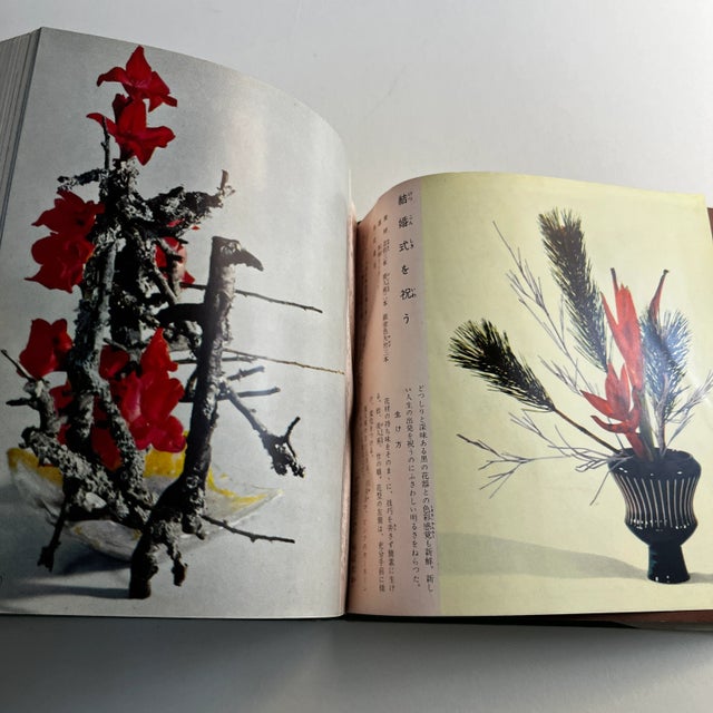 Wonderful mid-century (c. 1960s, I'm guessing) small hardcover with dust jacket. Full of color and black + white photos...