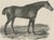 Maxim Gauci, Sharke Thoroughbred Horse Portrait, Lithograph, 1840 For Sale - Image 6 of 9
