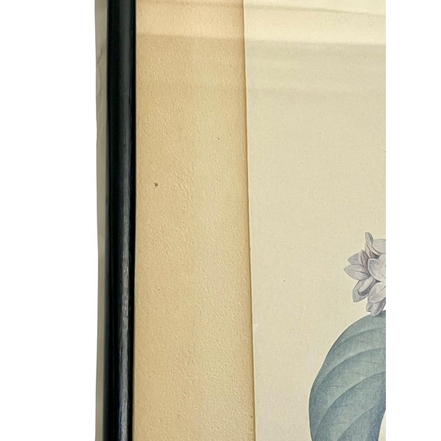 Paper Pair Vintage English Country House Framed Floral Botanical Prints After Redoute and Chirat For Sale - Image 7 of 14