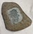 Stone Gray Mid-Century Granite Hand-Carved Kasugo Style Garden Ornament For Sale - Image 8 of 14