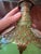 Antique Emerald Jade Green Opaline Crystal Perfume Bottle For Sale - Image 10 of 13