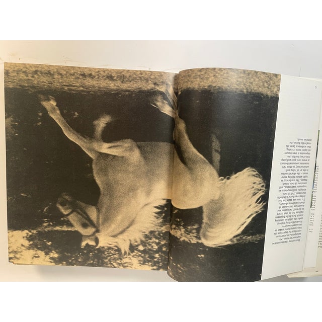 1970s The Imperial Horse Book on the History of Lipizaneer For Sale - Image 4 of 8