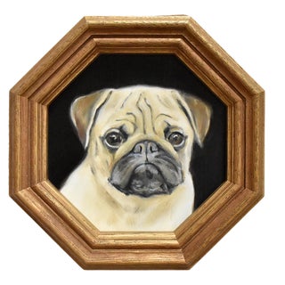 Portrait of a Pug by Susannah Carson For Sale