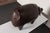 Vintage Leather Pig Footstool by Dimitri Omersa for Abercrombie and Fitch For Sale In New York - Image 6 of 18