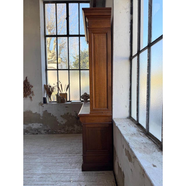 Brown Napoleonic Glazed Oak Bookcase, 19th Century For Sale - Image 8 of 18