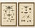 Title: pair of antique dragonfly, cicada & exotic insect engravings – bertuch, c. 1815 a decorative set of two original...