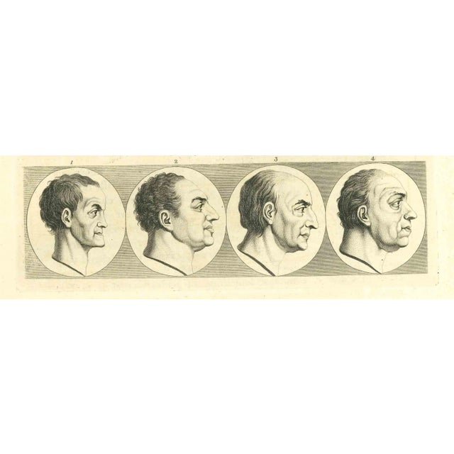 The physiognomy - Profiles of Men is an original etching artwork realized by Thomas Holloway for Johann Caspar Lavater's...