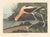 American Collection of 4 Vintage 1966 John James Audubon Double-Sided Waterbird Prints For Sale - Image 3 of 9