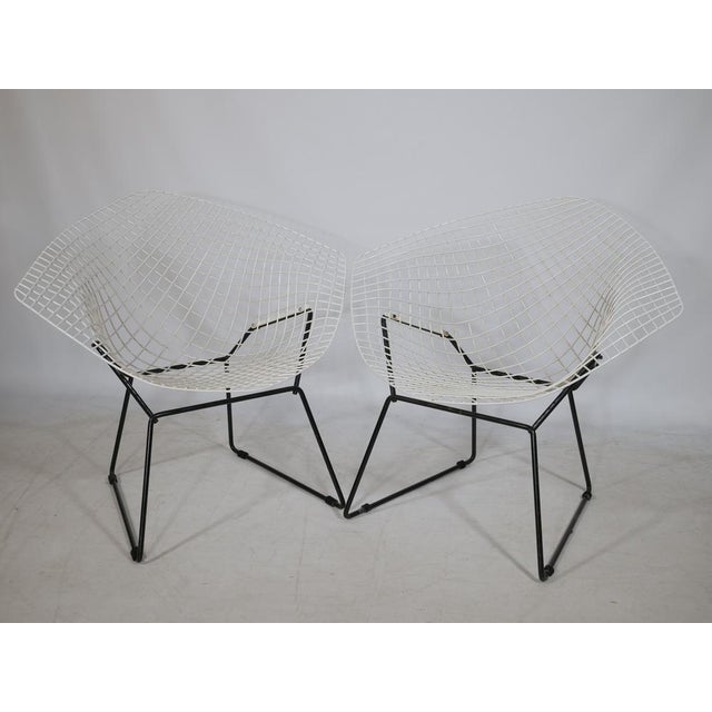 Set of Diamond Chairs by Harry Bertoia for Knoll, 1950s For Sale - Image 11 of 11