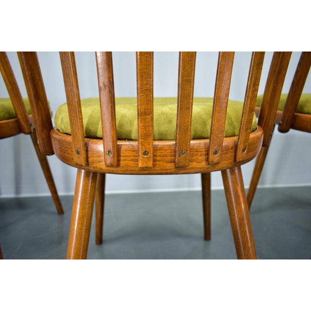 Beech Dining Chairs by Antonin Suman, 1960s, Set of 4 For Sale - Image 17 of 18