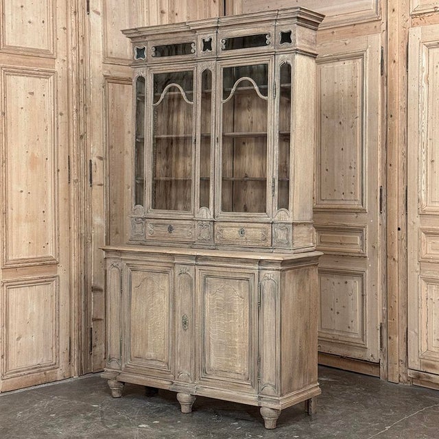 Neoclassical 19th Century Liegoise Neoclassical Bookcase ~ Display Cabinet in Stripped Oak For Sale - Image 3 of 18