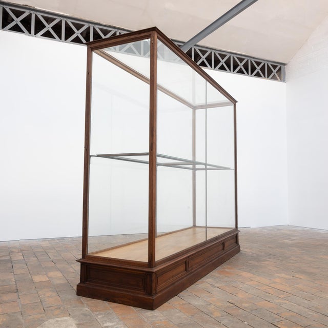 Antique Oak Museum Display Cases, 1910 For Sale - Image 14 of 18