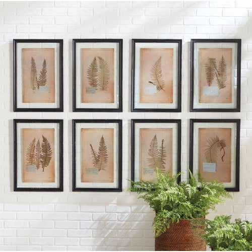 The Framed Vintage Fern Prints - Set of 8 As if pinned down and studied by a French botanist, these prints are true to...