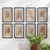 The Framed Vintage Fern Prints - Set of 8 As if pinned down and studied by a French botanist, these prints are true to...