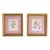 Antique Botanical Woodblock Prints Circa 1905, Pair, Framed For Sale
