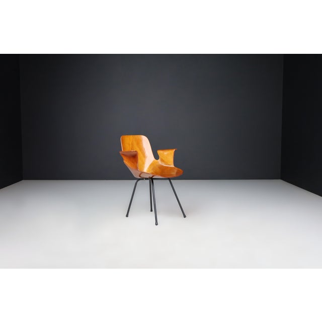 Medea Armchair by Vittorio Nobili for Fratelli Tagliabue, Italy, 1955 For Sale - Image 9 of 12