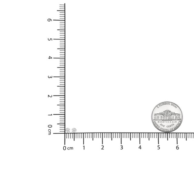 Early 21st Century 14K White Gold 1/2 Cttw Round Diamond 6 Prong Crown Stud Earrings For Sale - Image 5 of 5