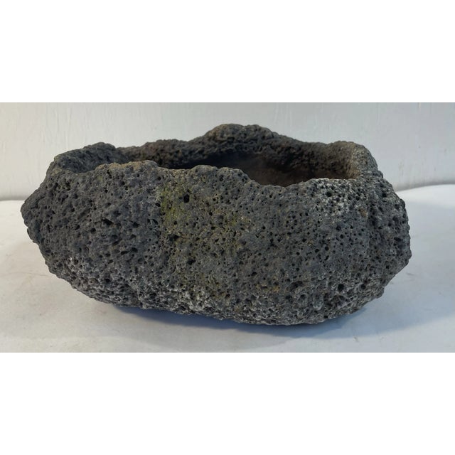 Love this brutalist planter which has the look of concrete or lava rock on outside and ceramic inside.