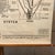 Mid 20th Century Educational Zoological Dogfish Anatomy Chart by New York Scientific Co. For Sale In New York - Image 6 of 12