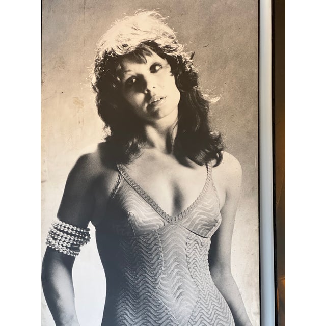 Vintage Framed Photo Posters, 1970s, Set of 4 For Sale - Image 18 of 18