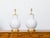 Asian Pair of Asian Porcelain Ginger Jars Table Lamps - USA Wired For Sale - Image 3 of 9