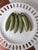 White Italy Peas on a Plate Trompe l'Oeil Este Ceramiche Majolica For Sale - Image 8 of 10
