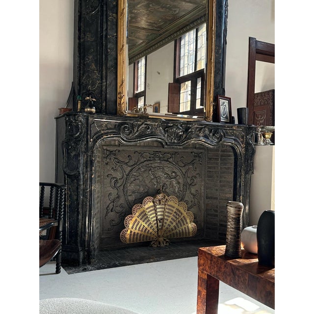 Metal Vintage French Brass Fire Screen with Peacock Motif, 1960s For Sale - Image 7 of 12